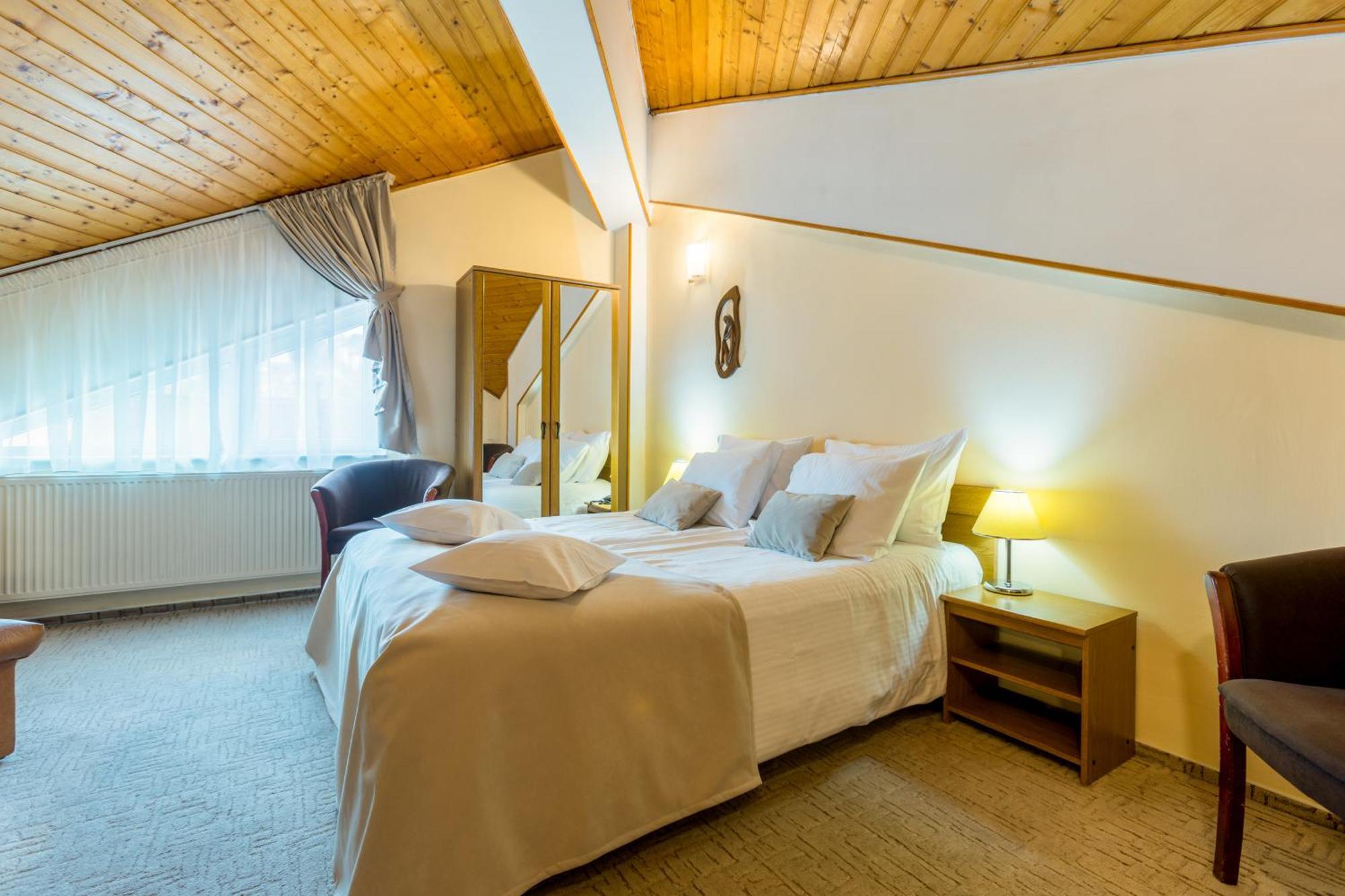 Hotel Ambient Brasov Bilik gambar