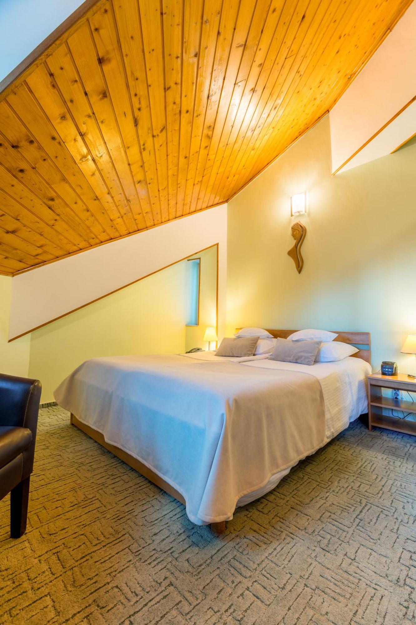 Hotel Ambient Brasov Bilik gambar